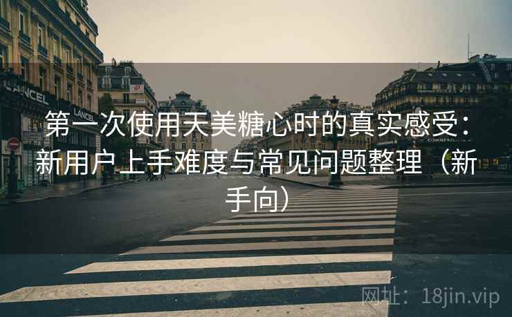 第一次使用天美糖心时的真实感受：新用户上手难度与常见问题整理（新手向）