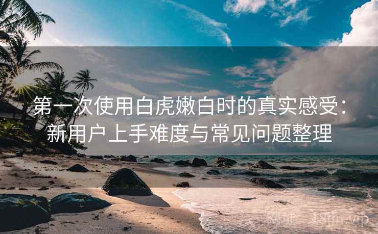 第一次使用白虎嫩白时的真实感受：新用户上手难度与常见问题整理