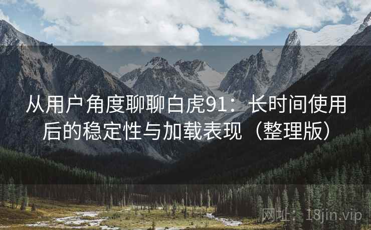 从用户角度聊聊白虎91：长时间使用后的稳定性与加载表现（整理版）