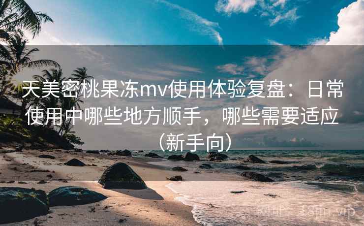 天美密桃果冻mv使用体验复盘：日常使用中哪些地方顺手，哪些需要适应（新手向）