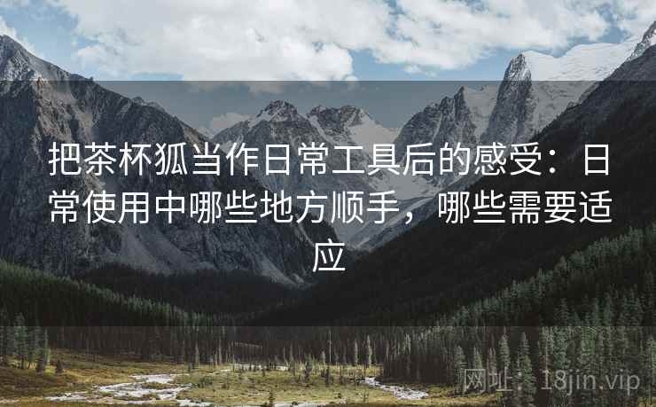 把茶杯狐当作日常工具后的感受：日常使用中哪些地方顺手，哪些需要适应