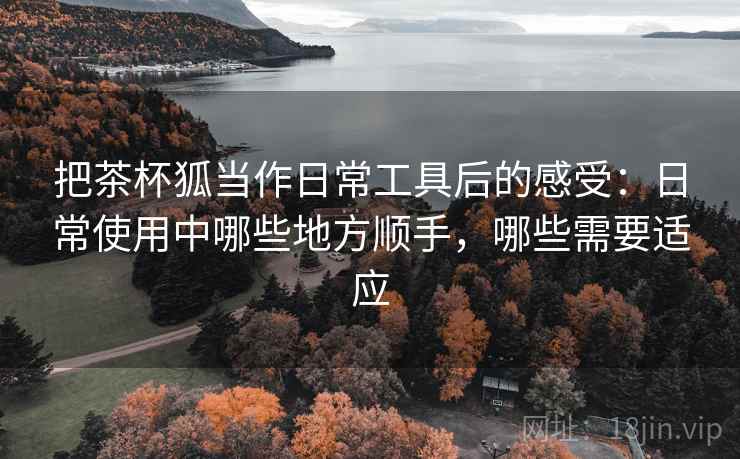 把茶杯狐当作日常工具后的感受：日常使用中哪些地方顺手，哪些需要适应