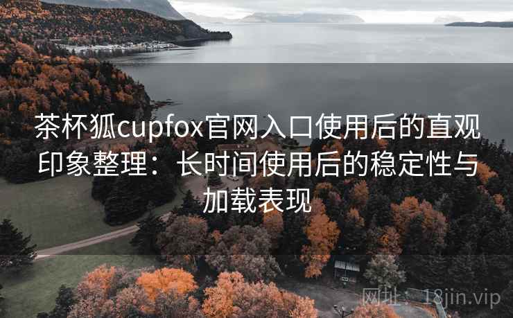 茶杯狐cupfox官网入口使用后的直观印象整理：长时间使用后的稳定性与加载表现