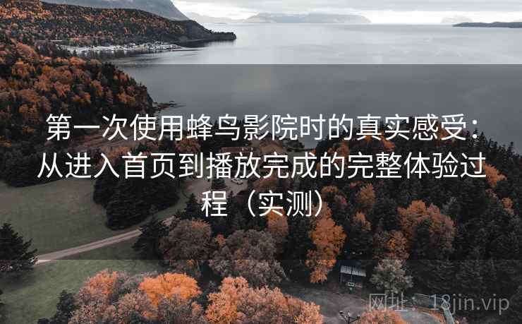 第一次使用蜂鸟影院时的真实感受：从进入首页到播放完成的完整体验过程（实测）